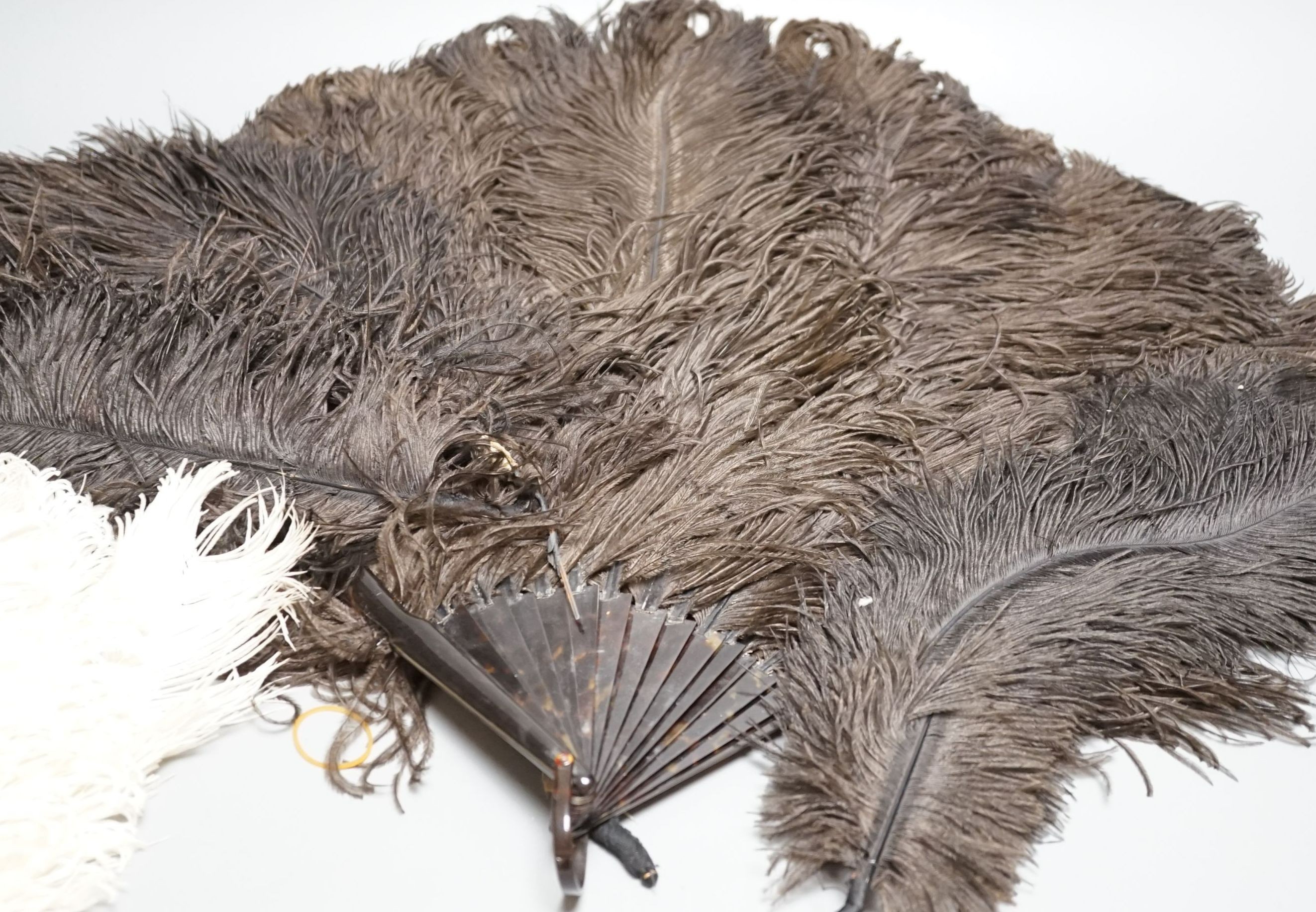 A quantity of feather fans